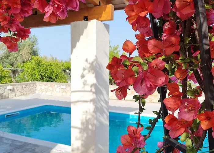 Lianas Garden House בית נופש אפאנטו