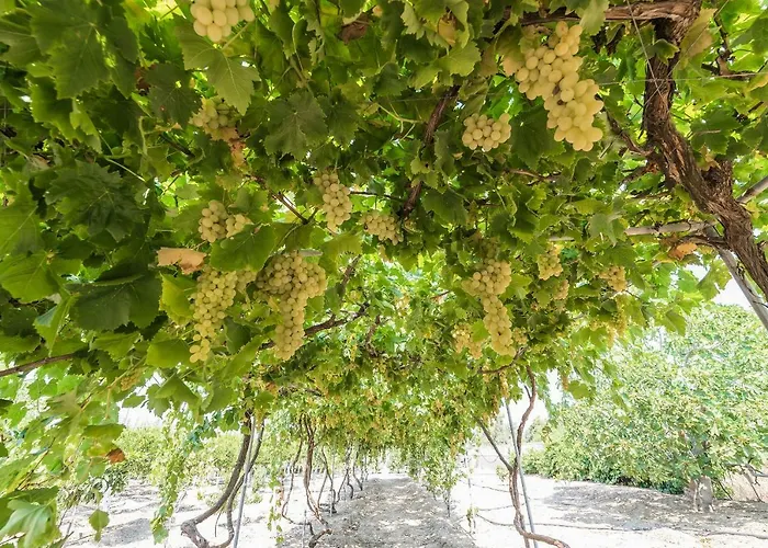 Lianas Garden House בית נופש *