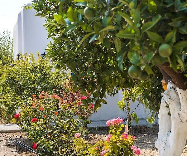 Lianas Garden House
