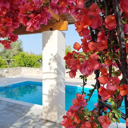 Lianas Garden House Holiday home Afantou