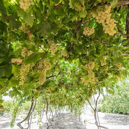 Lianas Garden House 펜션 *