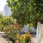 Lianas Garden House